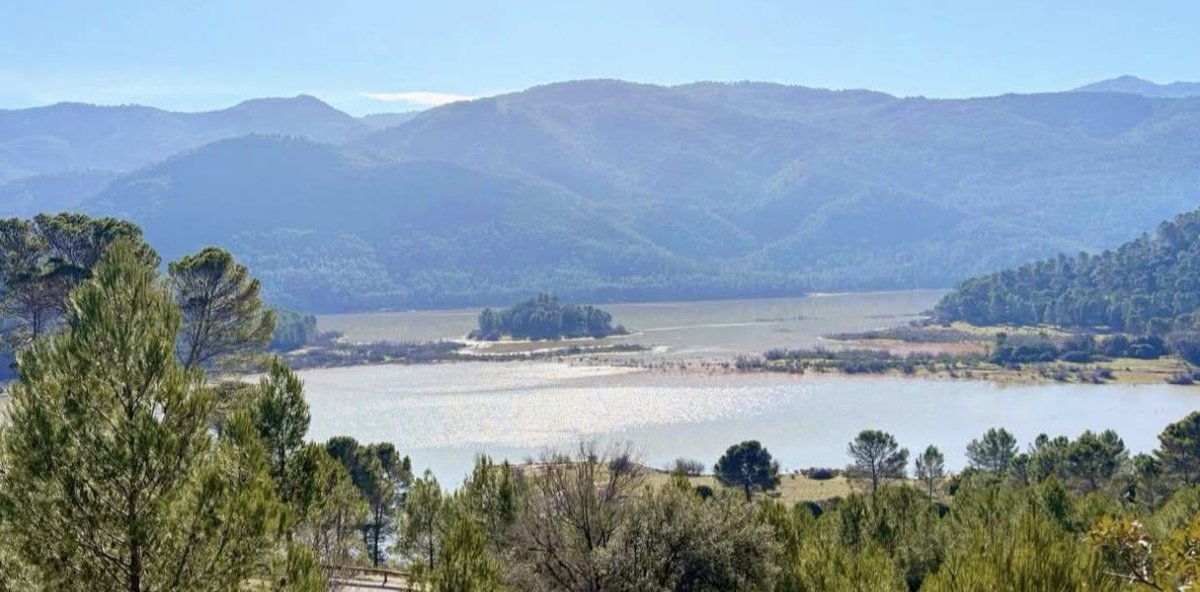 Ahora vuelvo...🫒🌳🌲 tweet media