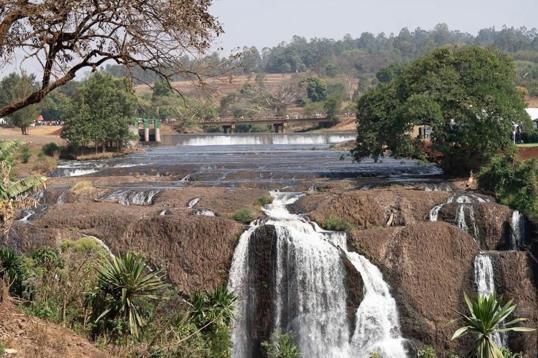 Abraham Belay Berhe tweet media