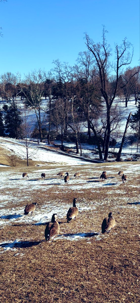 TipDuval's tweet photo. Winter
unraveling.
Unity?
Love?
Romance?
Maybe in springtime!
 
#Only8Words #poetry
#micropoetry #poetrycommunity #poetrylovers #poetrytwitter
@Only8Words https://t.co/m1pNB5KkUz