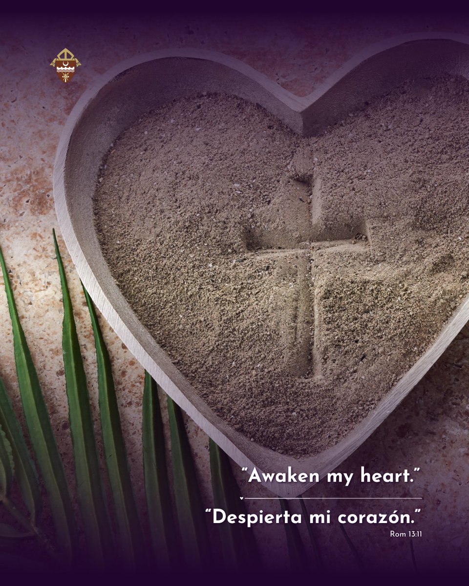 Brownsville Diocese tweet media