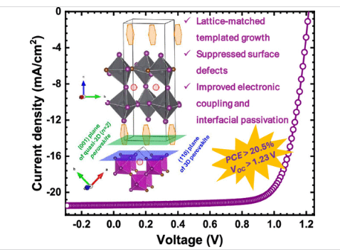 Kashimul Hossain tweet media