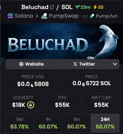 0xEthan's tweet photo. $Beluchad - 2zrHZZGwouwFtsh7KrGe2p9gi97Wb2ANtPKJbf4Wpump

Shredded beluga whale, trenches need a runner very funny 

Animal meta runner and no pvp https://t.co/fWZratBCQ1