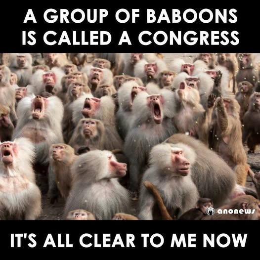 🎯🎯🎯
(actually it's a "troop" but I like this much better 😂😂😂)