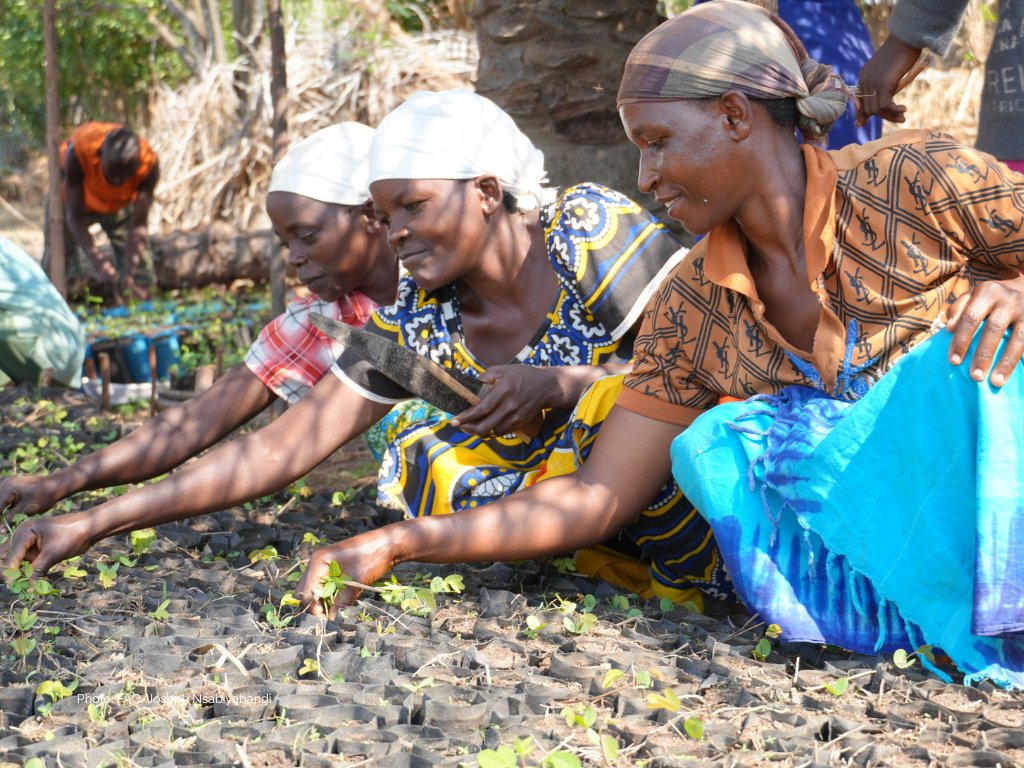 OCHAFunds's tweet photo. Thanks to Estonia 🇪🇪  Ireland 🇮🇪  Luxembourg 🇱🇺 and Portugal 🇵🇹 for early 2026 commitments to the @UNCERF Climate Action Account.

Your support helps people hit hardest by climate shocks, strengthening resilience where it’s needed most through fast, targeted climate action. https://t.co/Qo00vCEYtC