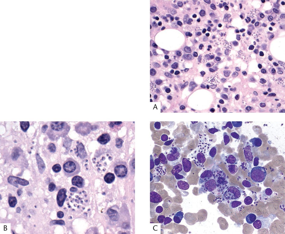 ARP Press tweet media