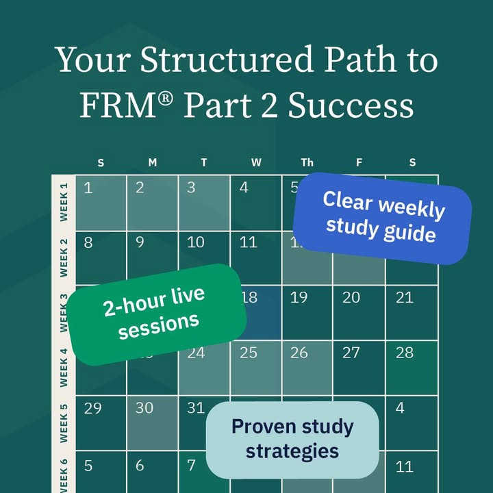 Bionic Turtle tweet media