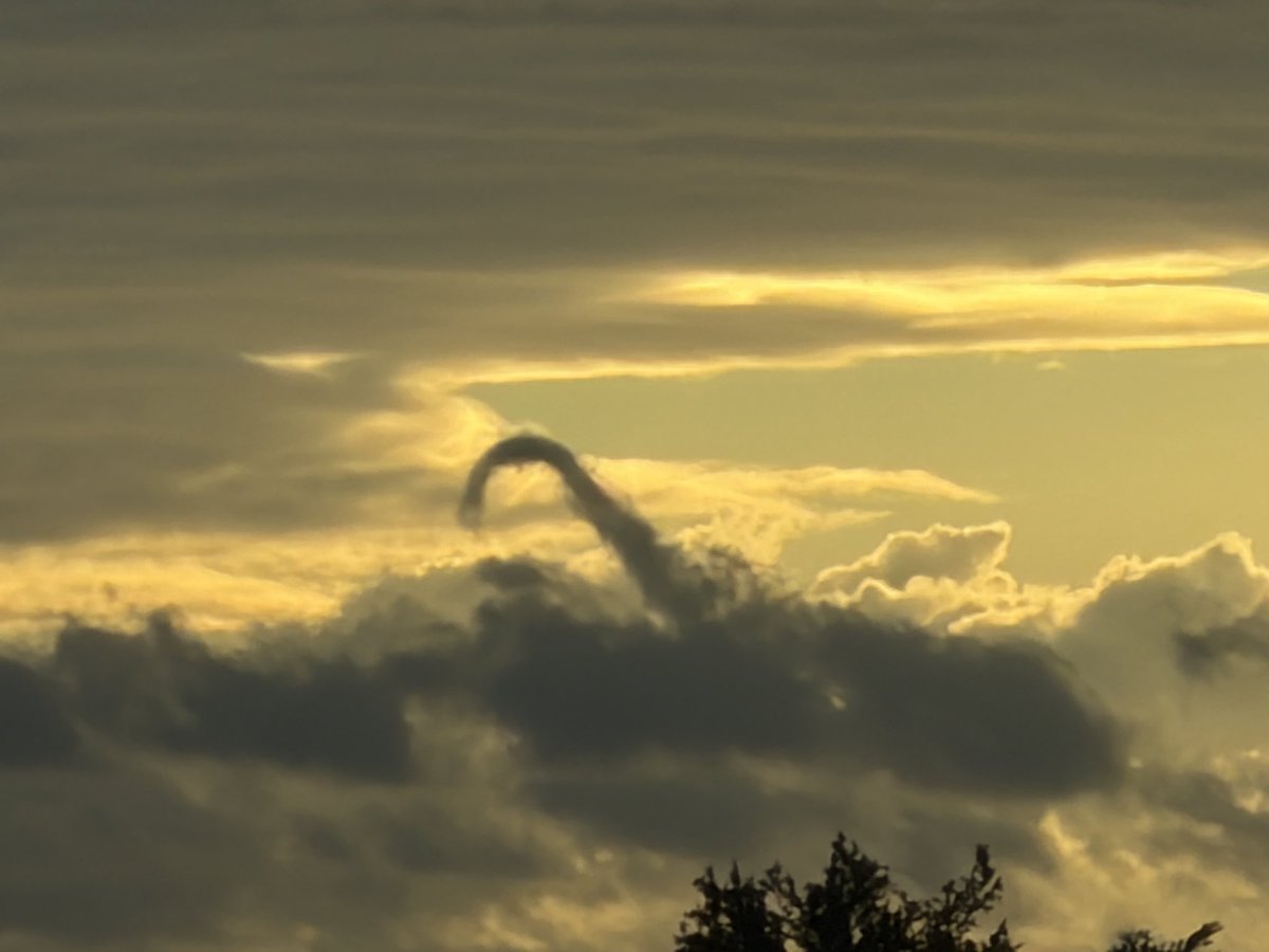 Talking Pink Monkey tweet media