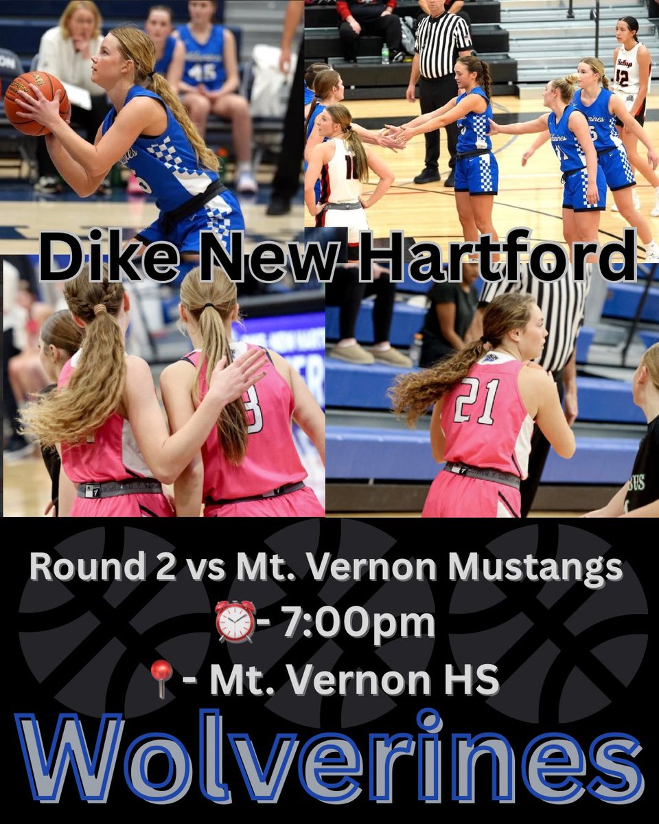 DNH Girls Basketball tweet media