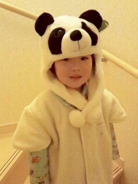 ไปเล่นกับพี่มะ

ม่ายเอา จะดูแพนด้า