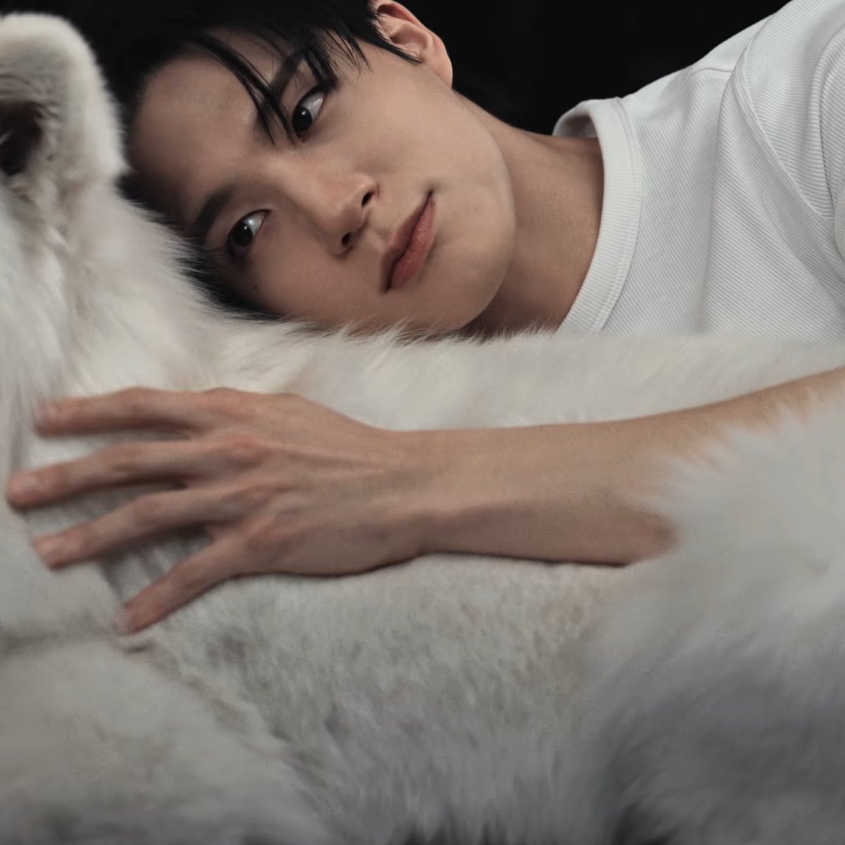 제노랑 사모예드!!!!🥹🥹🥹🥹