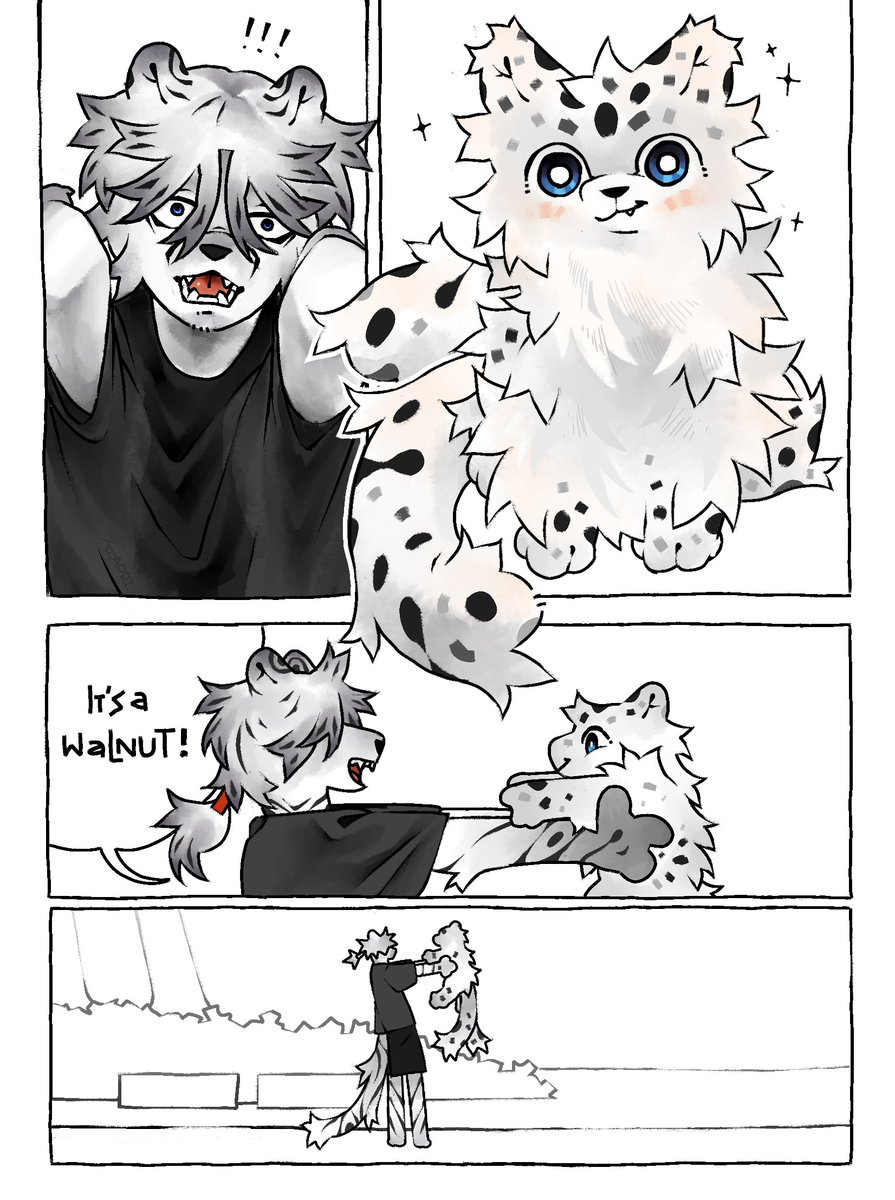 Xiaodi 🚯 tweet media