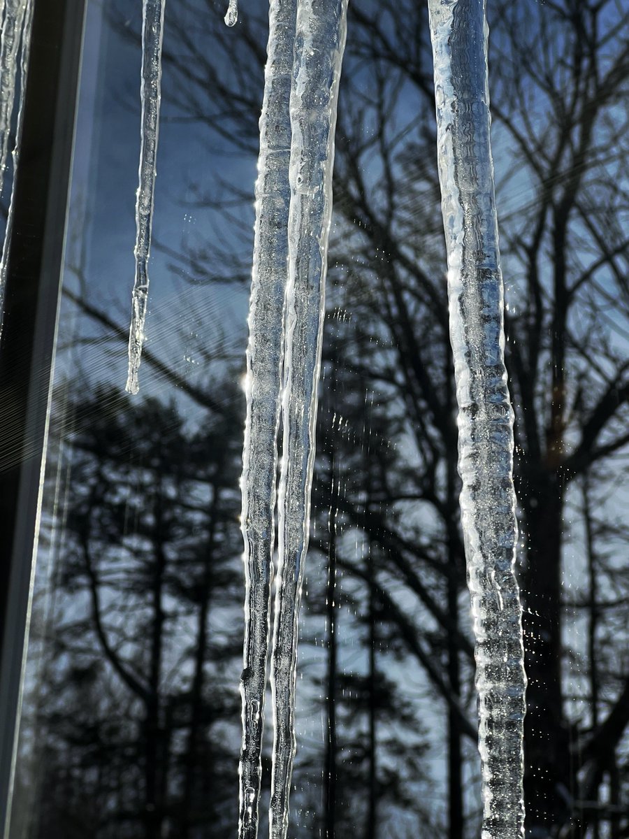 koto_art1's tweet image. Spring, where are you?　春はまだか

#photography #nature #icicles #つらら #写真 #自然 #spring #春