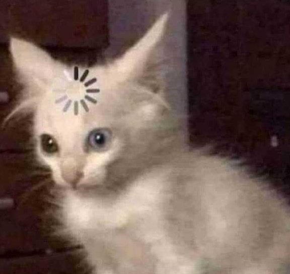 memes_una's tweet photo. así está la única neurona que me queda para estudiar https://t.co/9AILfNdV6K