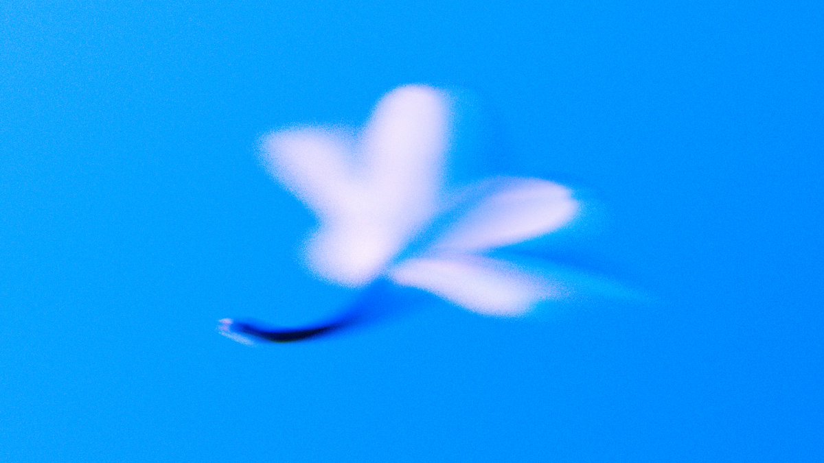 benjamin tweet media