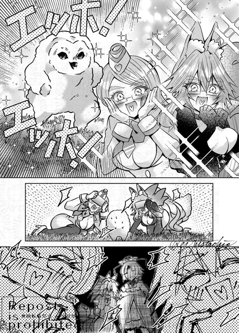 愉しいバードウォッチング 
