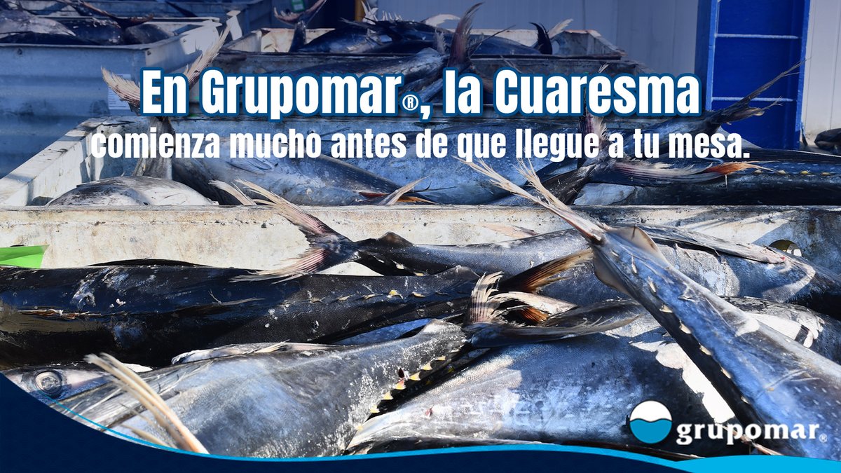 Grupomar® tweet media