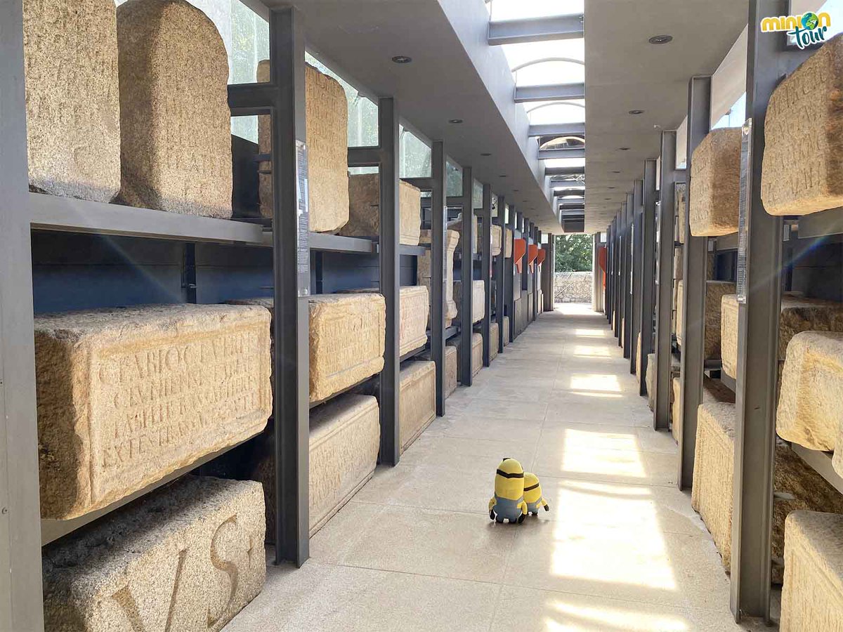 MiniOnTour tweet media