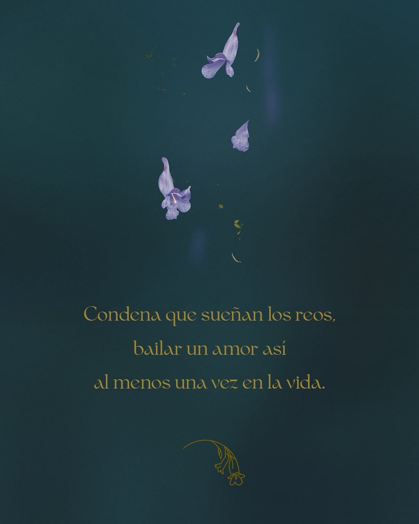 Andrés Suárez tweet media