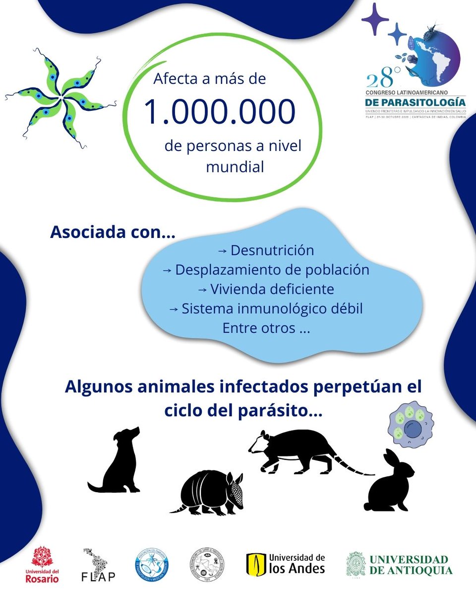 FLAP2026 tweet media