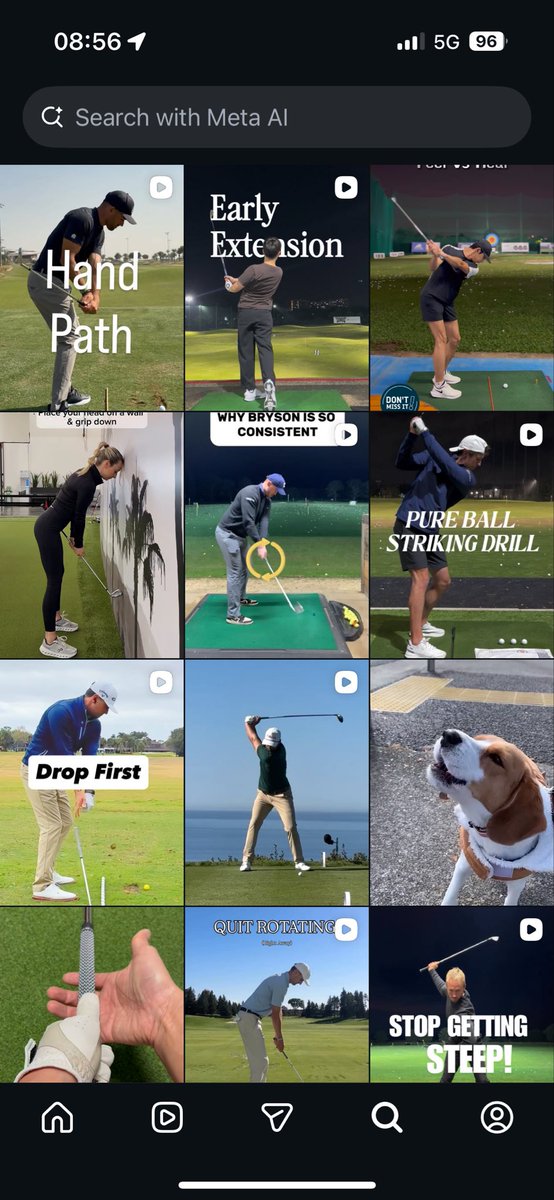 greenranger_13's tweet image. What a cute beagle #headcase