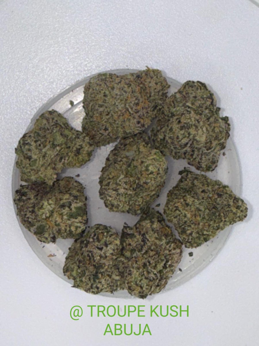 TroupeFarmAbuja's tweet photo. Strain: OG Kush x Zkittles
Location: Abuja
Potency: 32% THC
Cross breeding of two powerful strains. #weed #Zkittles #ogkush #cana #loud #cali https://t.co/ifasrYa0Uw