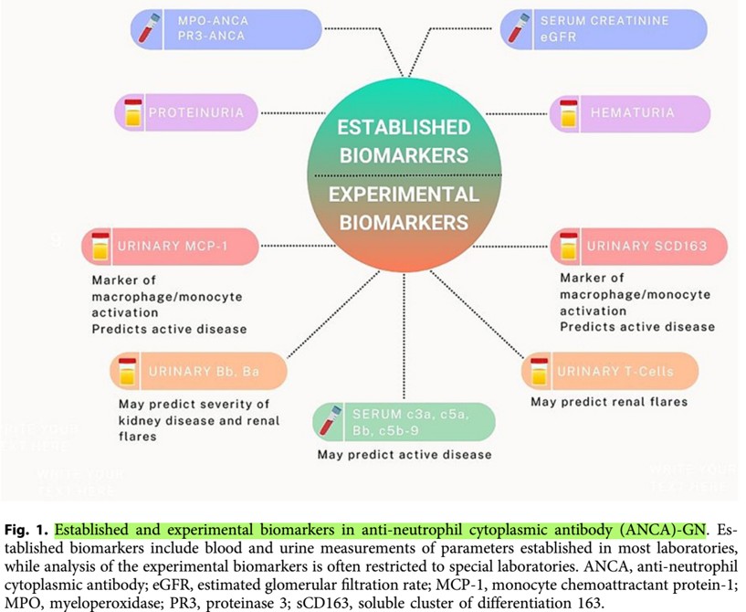 Nefro_Tweets tweet media