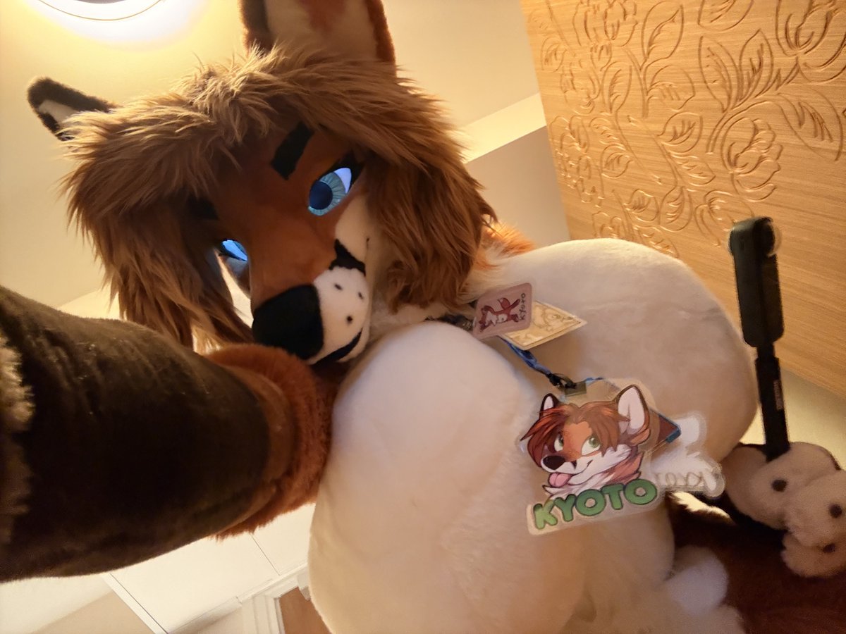 Kyoto Fox tweet media