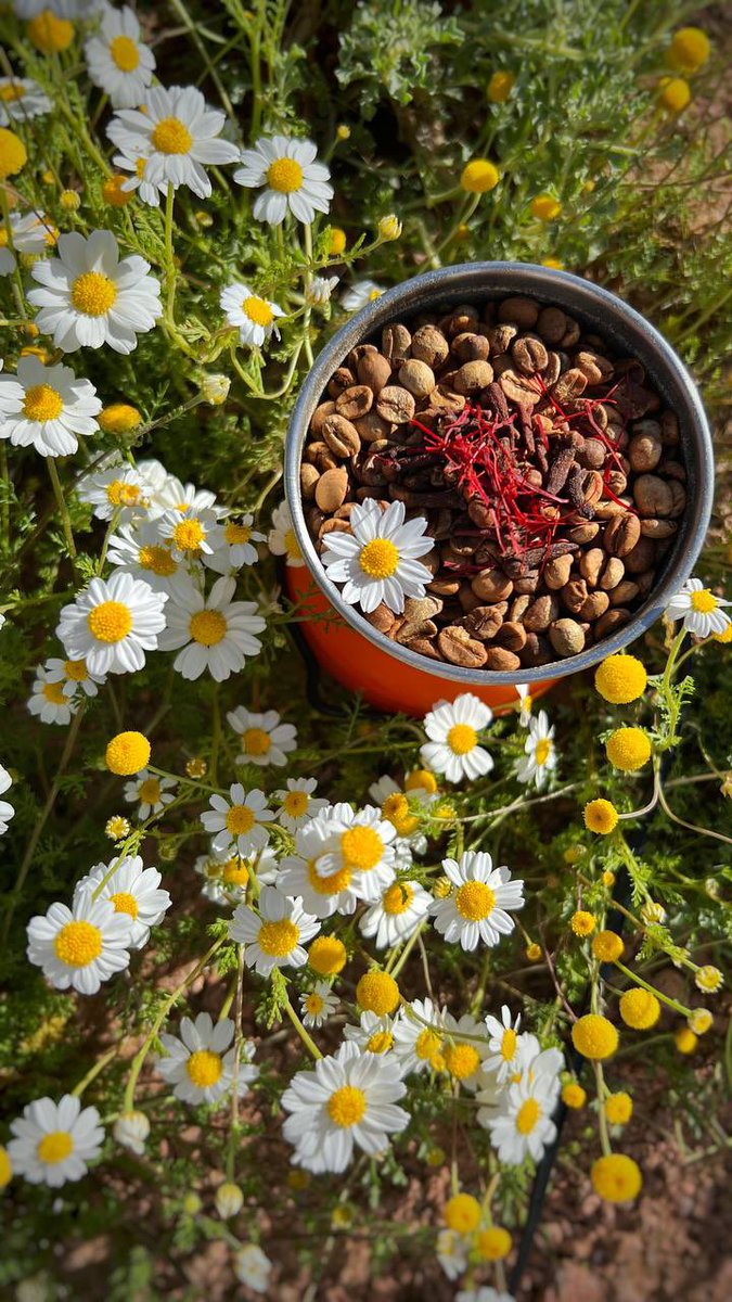 عبدالله الجلعود🇸🇦- tweet media