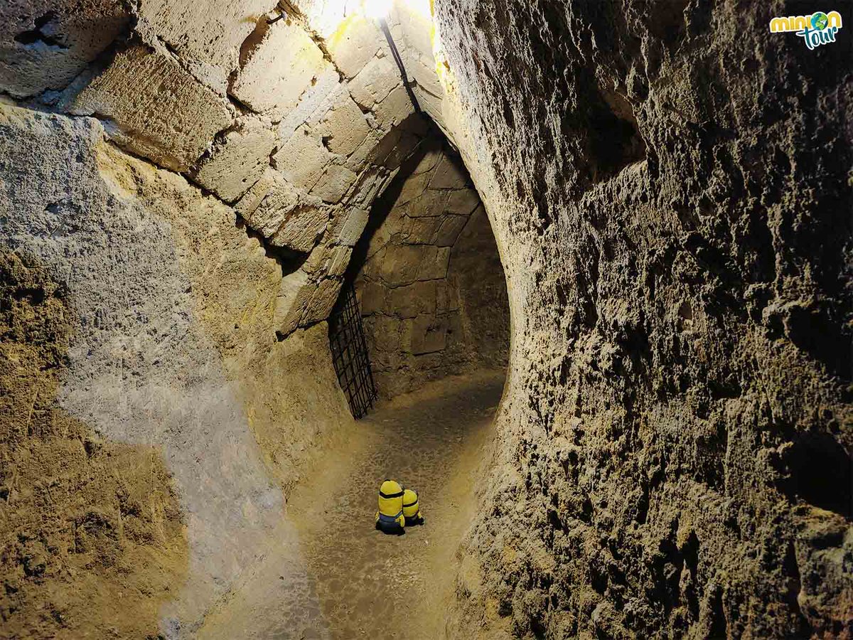 MiniOnTour tweet media