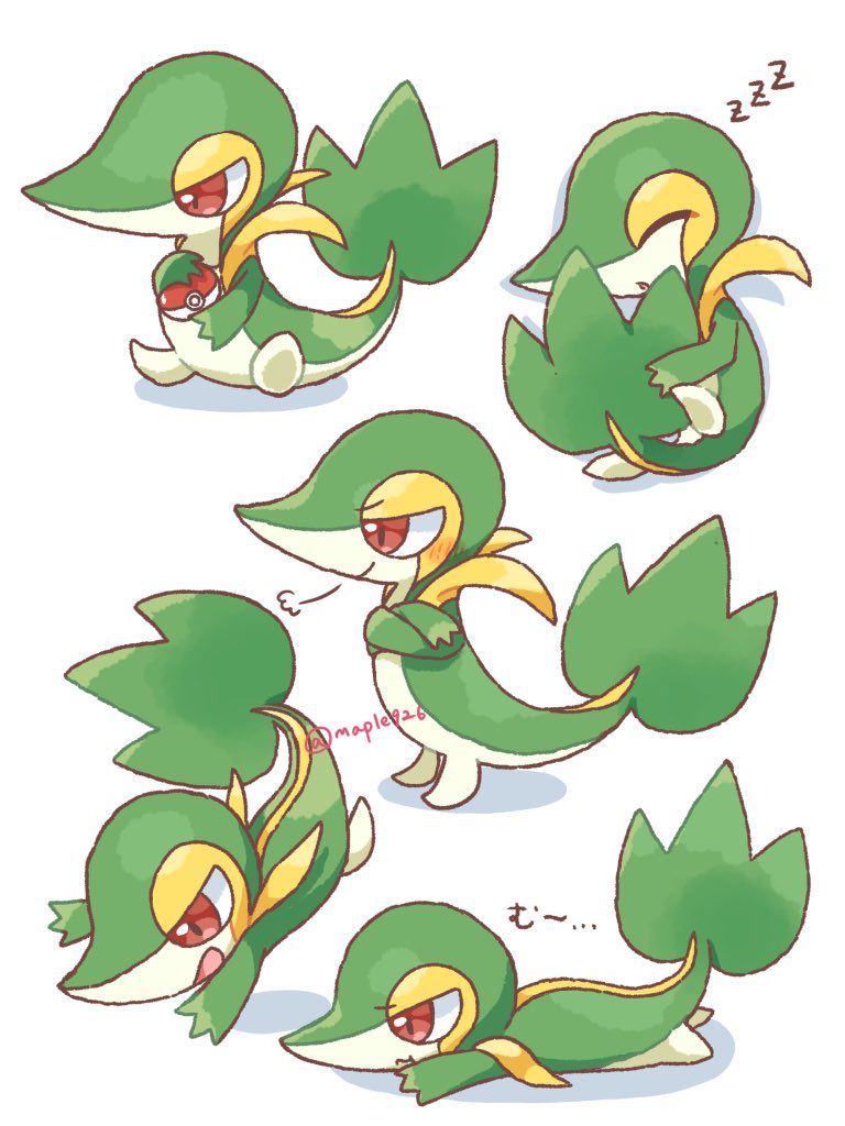 ツタージャいろいろ
 #ツタージャの日