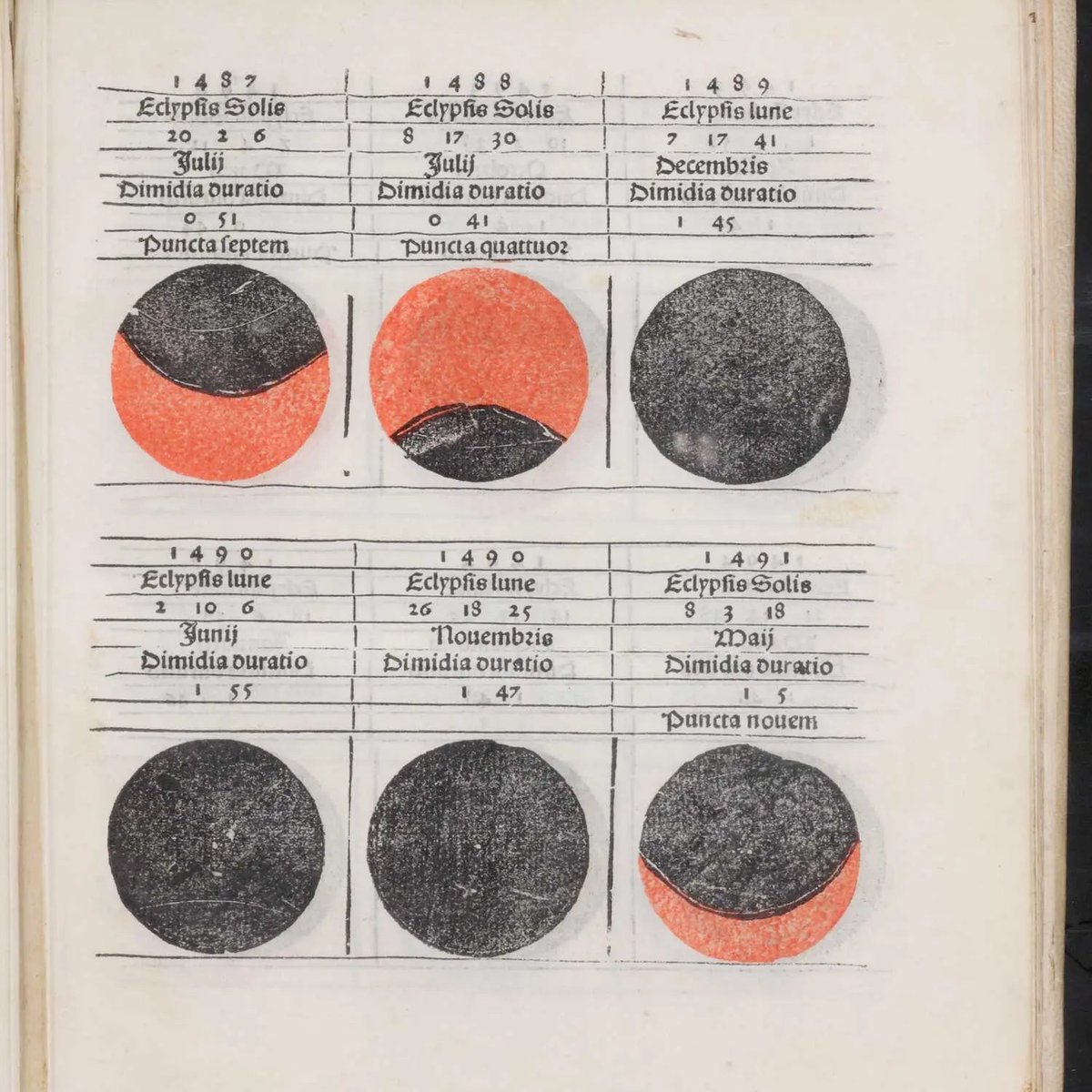 Michelle Pfeffer tweet media