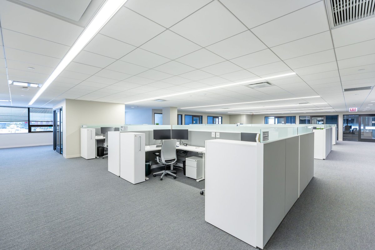 Leopardo Construction tweet media