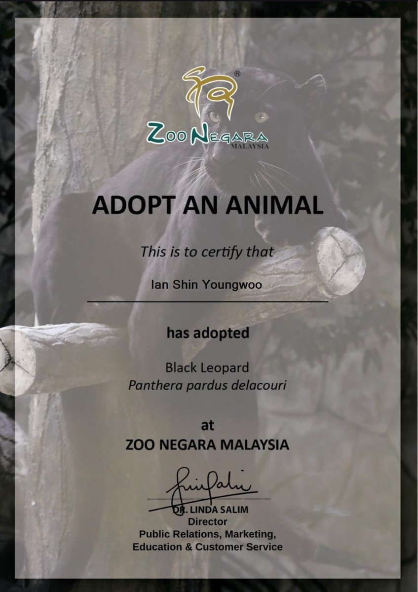 dhkslIz's tweet photo. A small gift for a big cause. On behalf of our king Ian Shin, I've adopted a Black Panther at Zoo Negara Malaysia 💜 May these majestic creatures thrive 🐆🐾

#HAPPY_IAN_DAY #WetSand #웻샌드 https://t.co/66UuJZD7iA