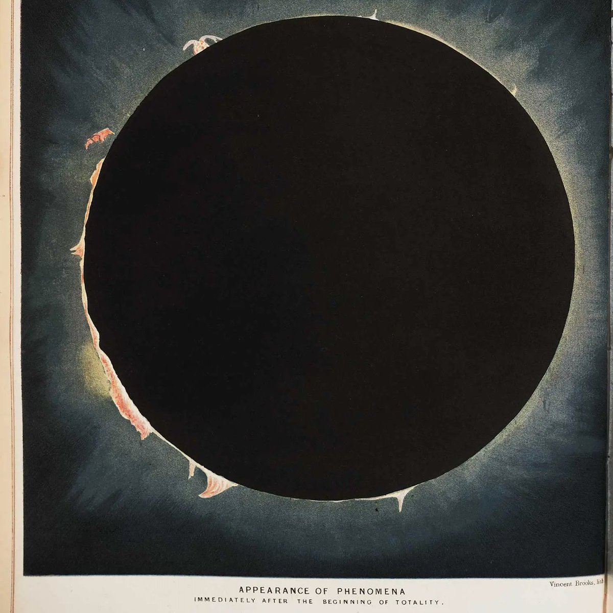 Michelle Pfeffer tweet media