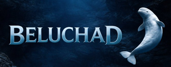 Crypto_Yuji888's tweet photo. $Beluchad This whale has a great physique, and everyone wants to have one like that, willing to pay for a good body.

2zrHZZGwouwFtsh7KrGe2p9gi97Wb2ANtPKJbf4Wpump https://t.co/ILJozoJUMn