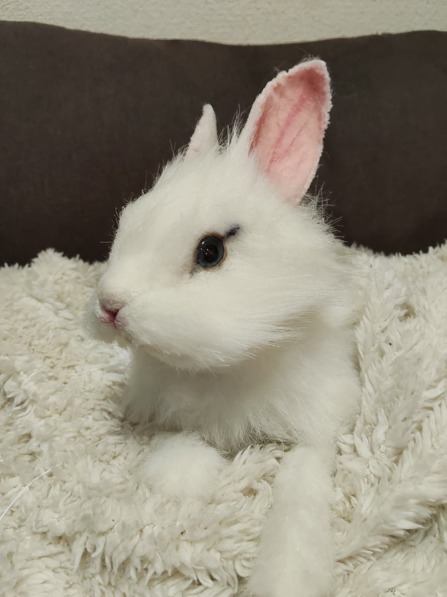 karin* (@chibipapikarin) / Posts / X