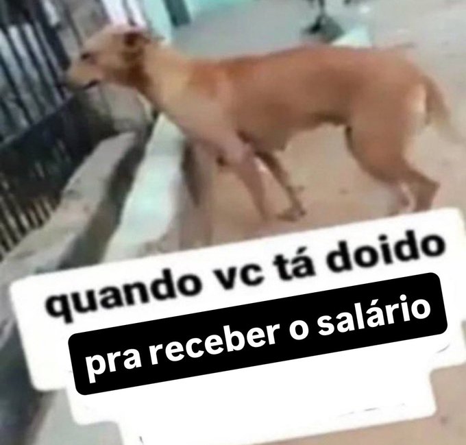 Os melhores prints tweet media