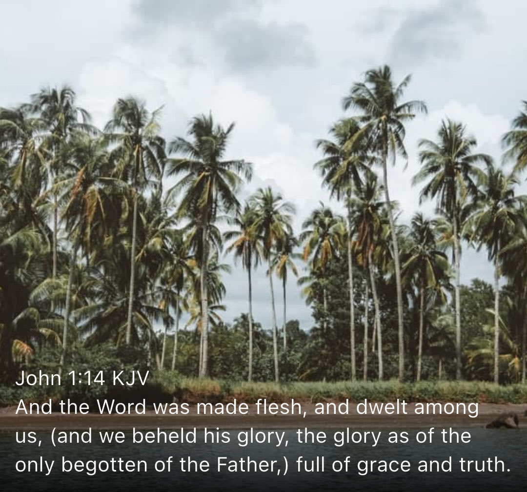 New Testament Christian Church Of Brooklyn, NY tweet media