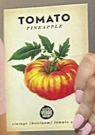 hllarrie28's tweet image. Harry is very much a deep thinker  and person who uses symbolism in his lyrics and life. Seeds also symbolize new growth and transformation. 🪩💋🍅
#KATTDO