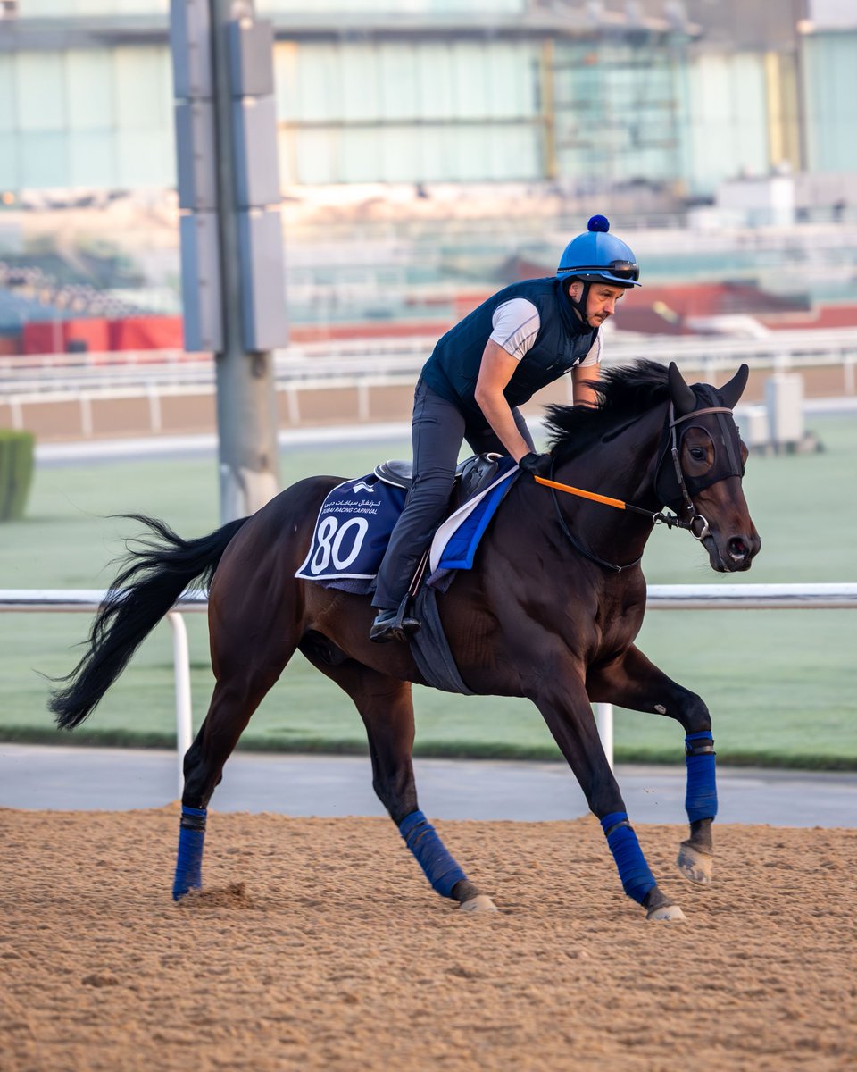 Dubai Racing Club tweet media