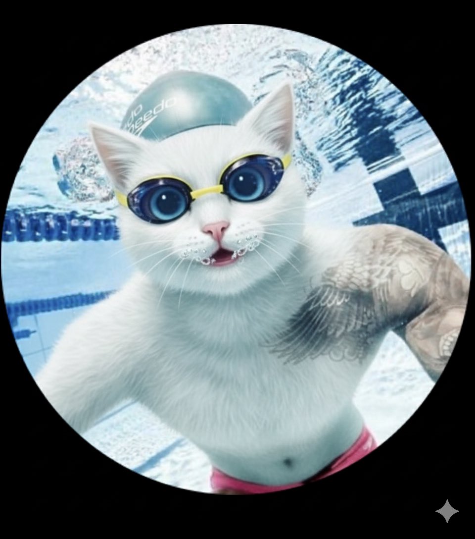 Pi5ciner06 CR tweet media