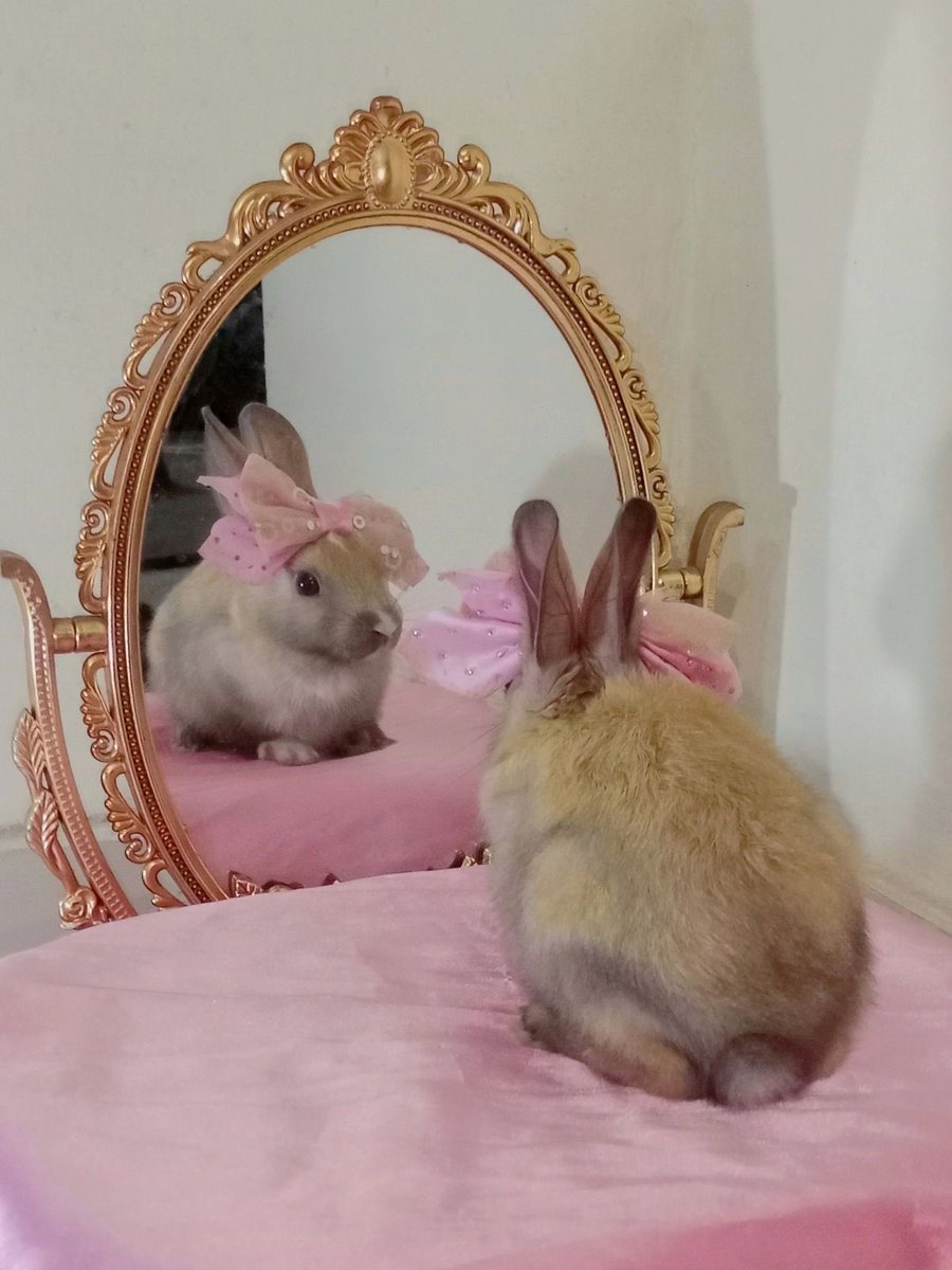 Happy WIP Wednesday I hope yall r frolicking hard!!!!