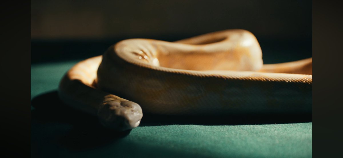 เธรดวิเคราะห์ซีนต่างๆใน MV #guiltypleasure_MV

TW : มีงู⚠️
ในMV มีความเป็นวรรณกรรมญี่ปุ่น มีกล้อง งู ดอกฮิกันบานะสีแดงสื่อถึงรักที่ร้อนแรง คลั่งไคล้ ถ้าคอนเซ็ปต์ตื้นๆ คิดไปทางนั้นเลย ใครเก็ทคือเก็ท แต่ลึกๆลงไปมันคือความรักที่คลั่งไคล้มาก แค่มองตาก็รู้สึกแล้ว