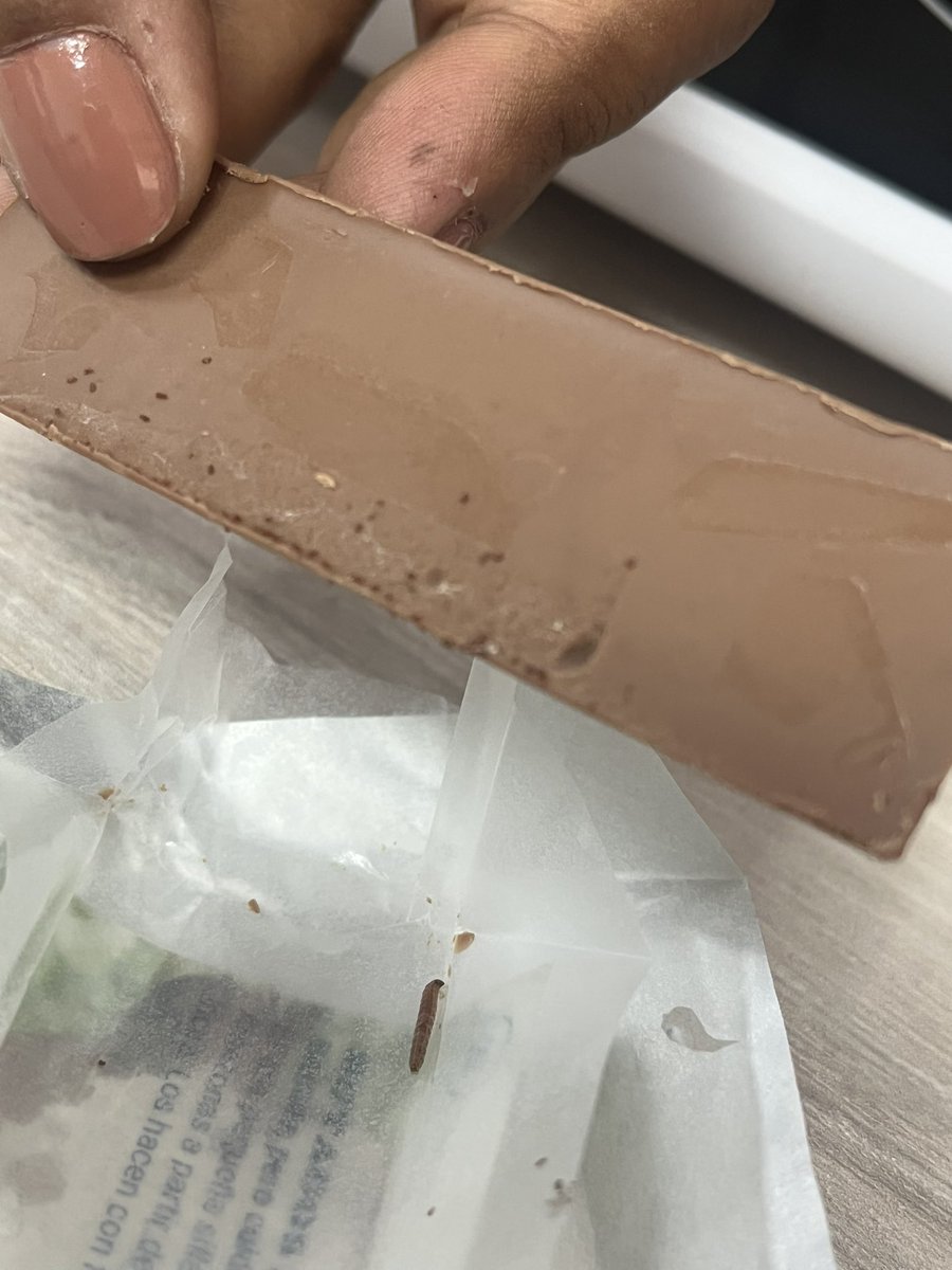 Natalia Navarro tweet media