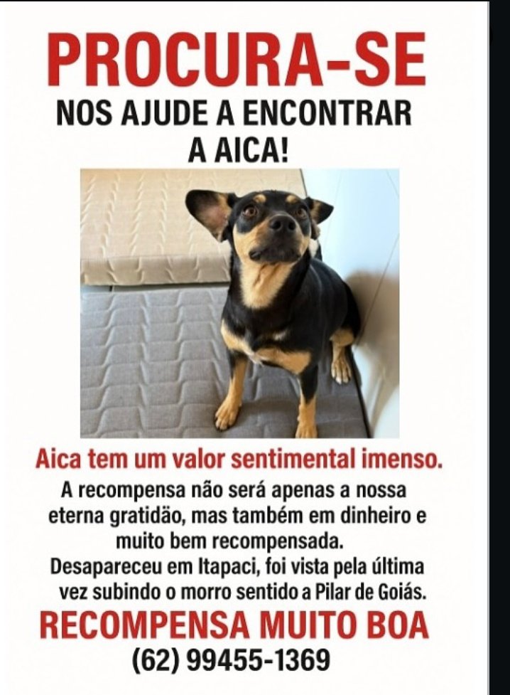 isanahi_'s tweet image. 🚨 PROCURA-SE AICA / ITAPACI - GO 🚨 Se puderem continuar a compartilhar, marcar amigos de Itapaci (GO) e toda a região, talvez essa corrente do bem traga a Aica de volta pra casa. 🙏🐾