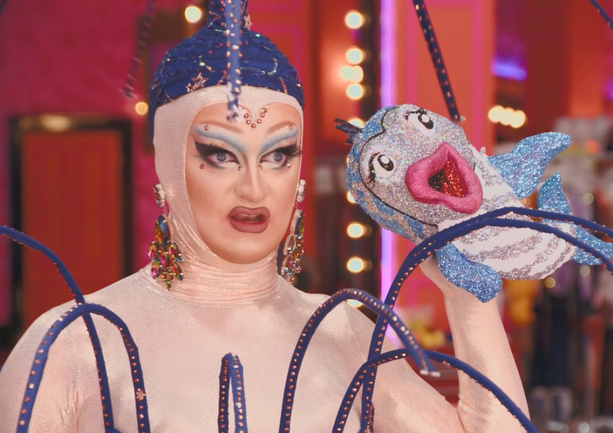 Sheeda 🐈 Cat 🍉 tweet media