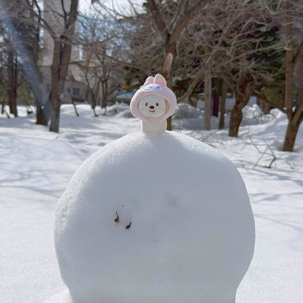 ⋆⁺₊⋆ ☃️🐶 ⋆*.❅•