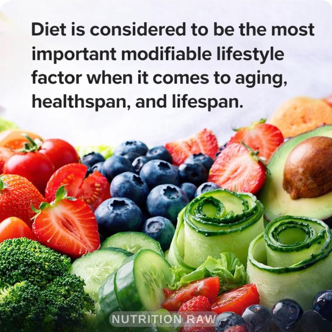 Michiko Rice Meals by Michiko tweet media