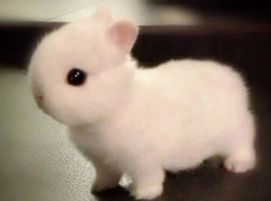 eggoslug's tweet image. trying to stay tender hearted despite it all