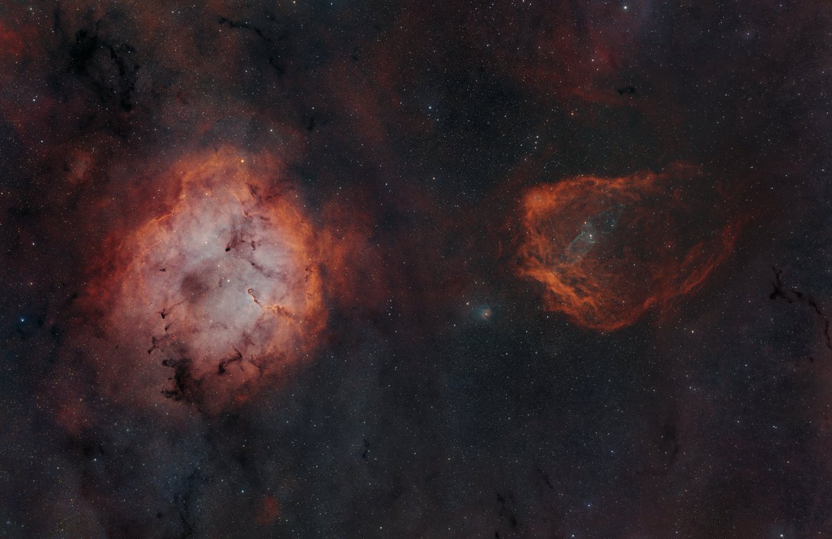 James Clark tweet media